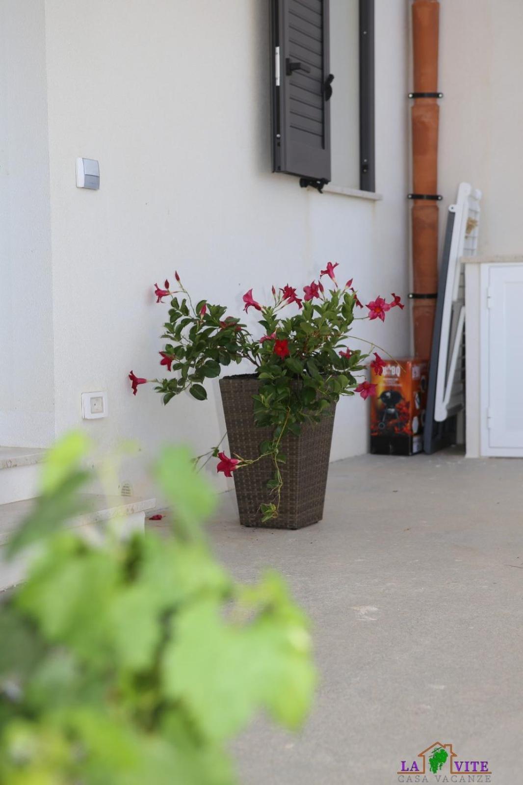 Holiday home La Vite